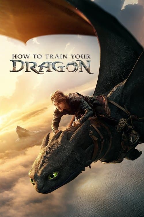 Watch How to Train Your Dragon - Luganda Translated Movie by Vj Neil