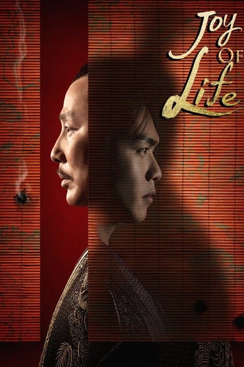 Watch Joy of Life 2: Episode - Luganda Translated Series by Vj Little T