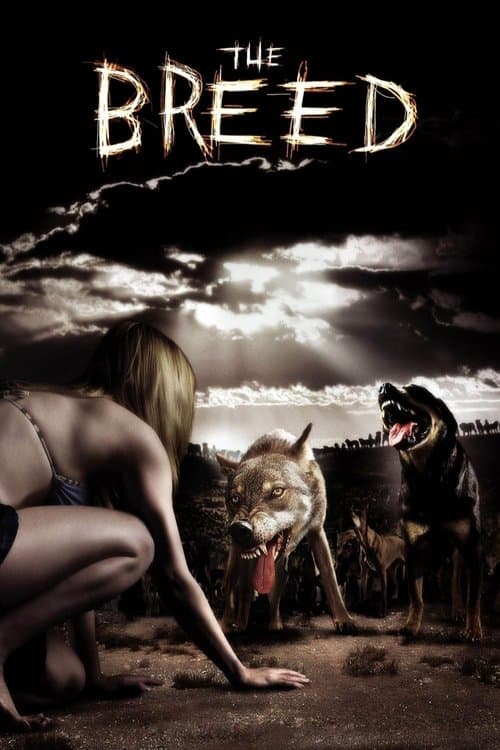 Watch The Breed - Luganda Translated Movie by Vj Emmy
