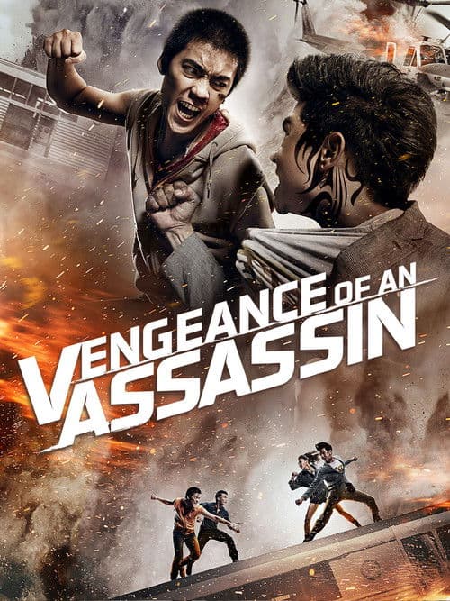 Watch Vengeance of an Assassin - Luganda Translated Movie by Vj Jingo