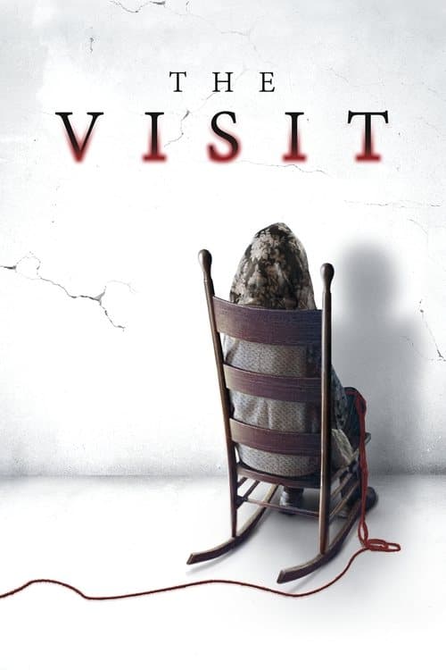 Watch The Visit - Luganda Translated Movie by Vj Junior