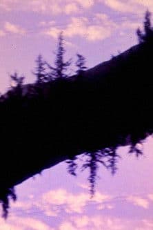 Watch 10000 BC - Luganda Translated Movie by Vj Mark