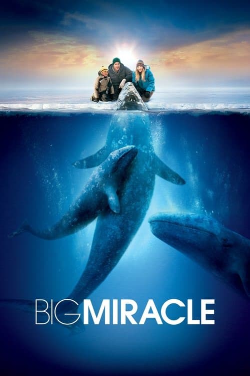 Watch Big Miracle - Luganda Translated Movie by Vj Junior