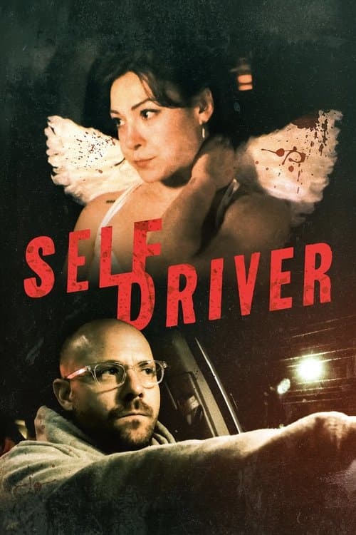 Watch Self Driver - Luganda Translated Movie by Vj Ulio