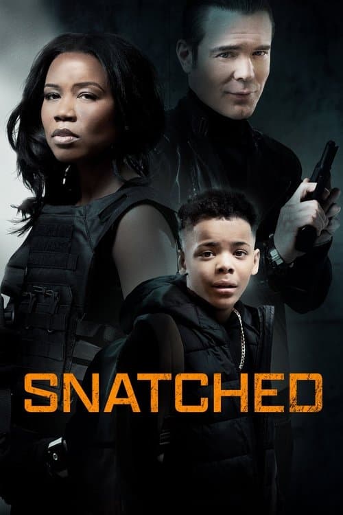 Watch Snatched - Luganda Translated Movie by Vj Muba