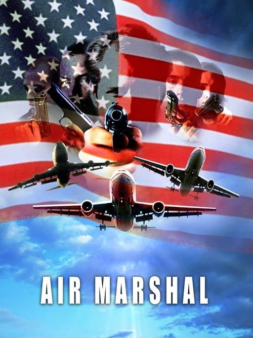 Watch Air Marshal - Luganda Translated Movie by Vj Jovan