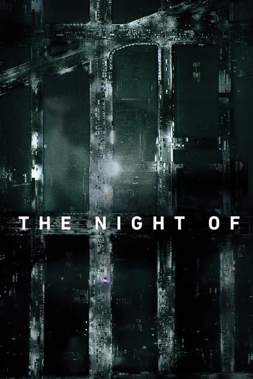 Watch The Night Of - Luganda Translated Series by Vj Junior