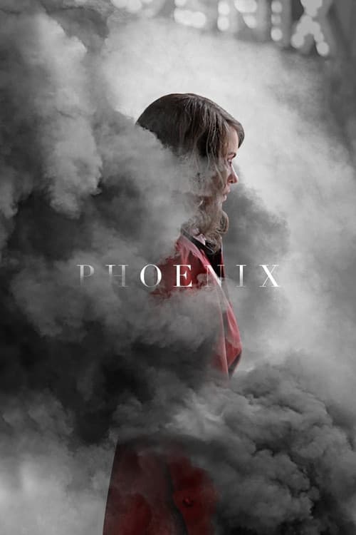 Watch Phoenix - Part 2 - Luganda Translated Movie by Vj Shield