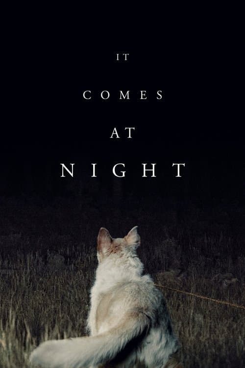 Watch IT COMES AT NIGHT - Luganda Translated Movie by Vj Junior