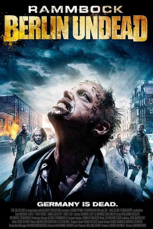 Watch Rammbock: Berlin Undead - Luganda Translated Movie by Vj Jingo