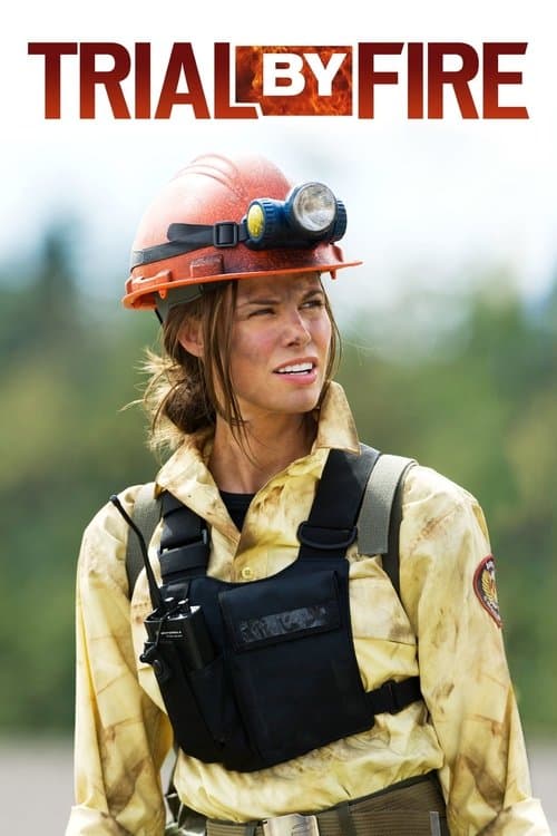 Watch Trial by Fire - Luganda Translated Movie by Vj Junior