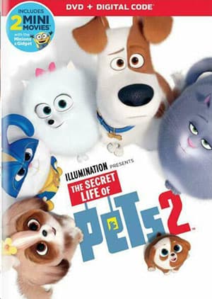 Watch SECRET LIFE OF THE PET 2 - Luganda Translated Movie by Vj Kevo