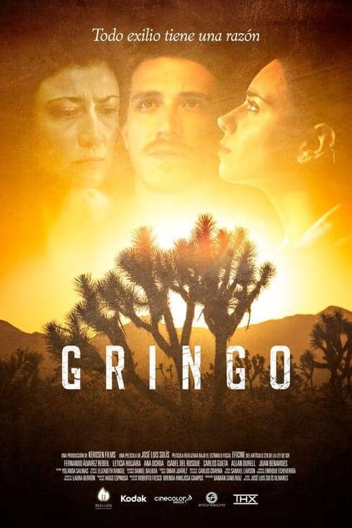 Watch Gringo - Luganda Translated Movie by Vj Junior