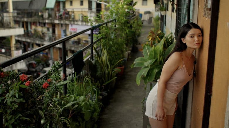 Watch Next Room Affair - Luganda Translated Movie by Vj Ham